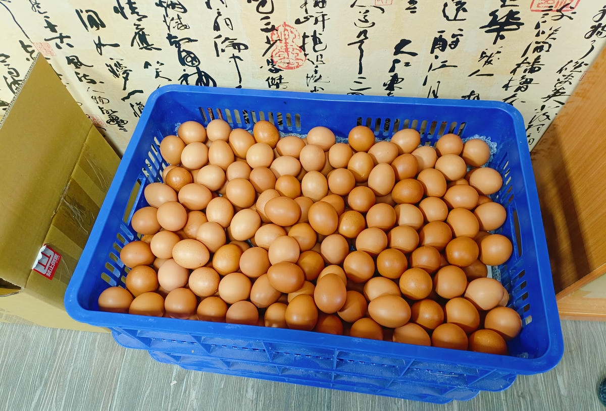 【花蓮美食】東傑茶園花蓮店、茶園自營、茶味層次豐富有機茶飲、雞蛋一起買回家! - 第7張圖