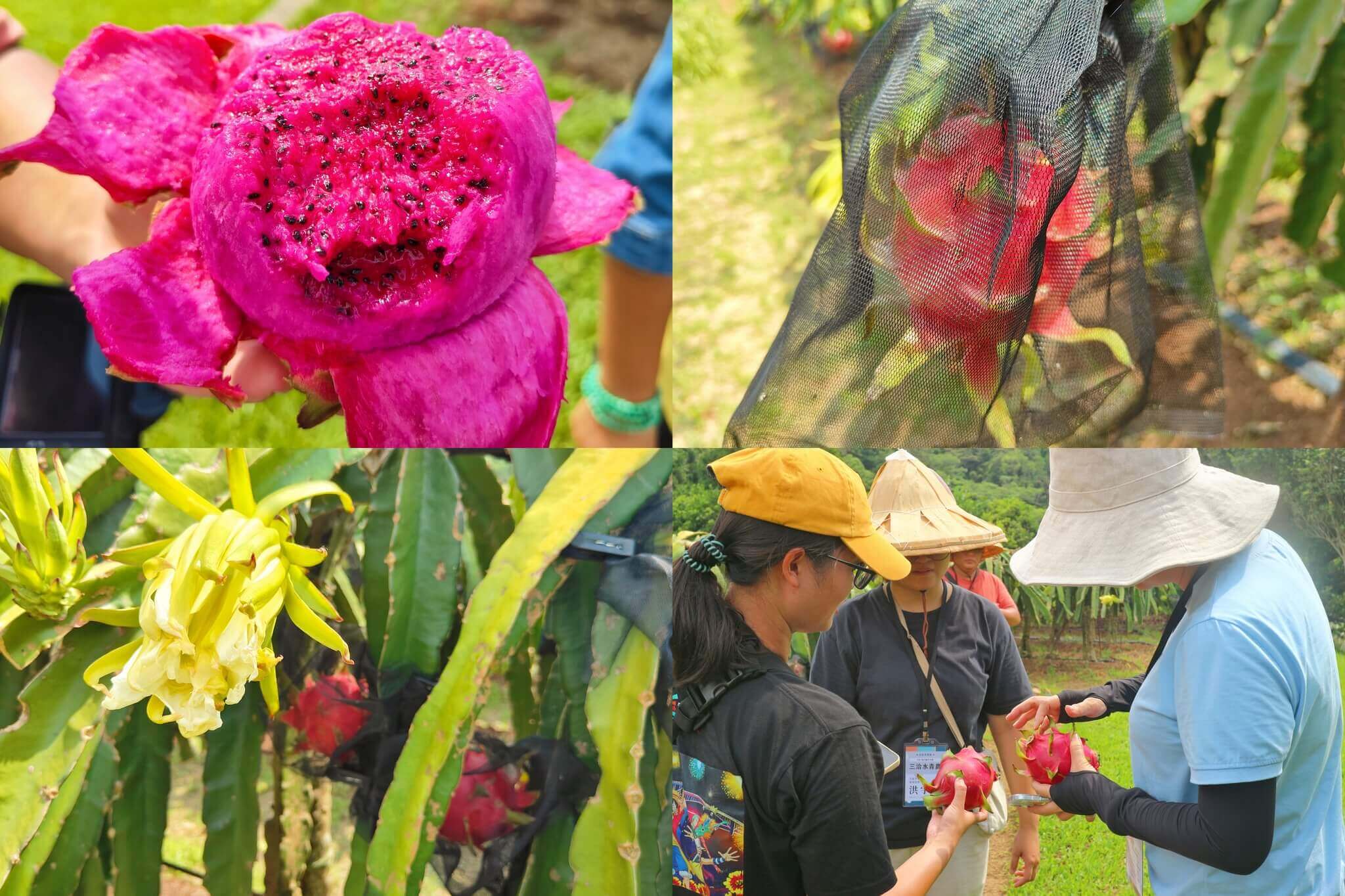 內湖美食｜Fogant內湖法式餐廳、2024夏季新菜單上市！主廚來自澳洲藍帶學院、法式烹調食材性價比讓人驚艷 @💕小美很愛嚐💕