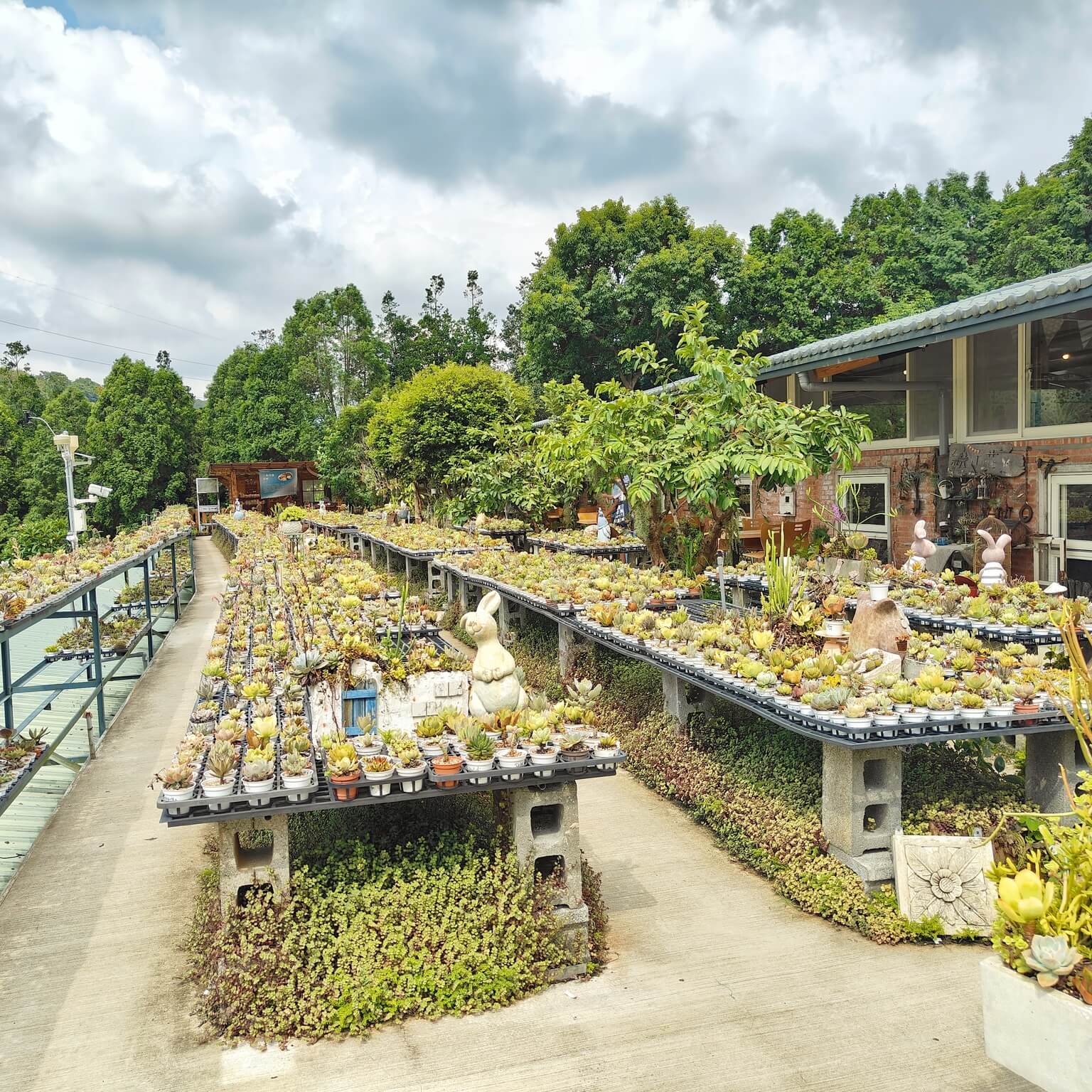 龍潭三洽水觀光｜巨無霸佳河錦鯉園、繞山花、三和青創基地、多肉植物園、手作DIY活動~喝個可愛到不行午茶 ！ @💕小美很愛嚐💕