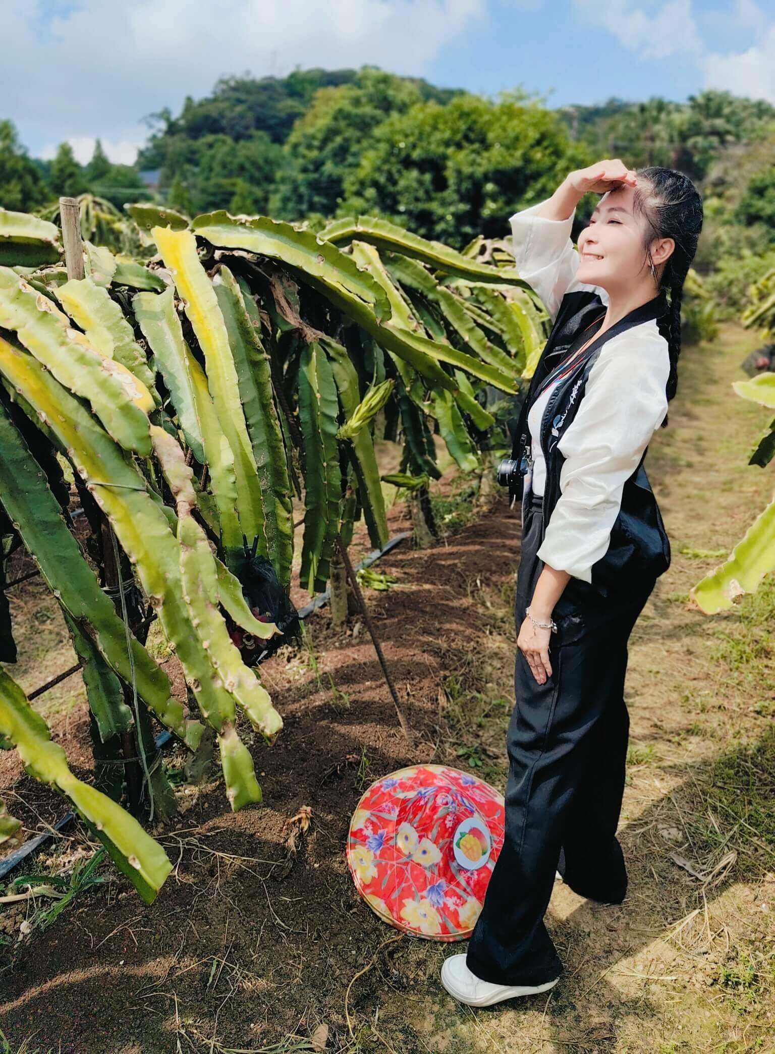 龍潭三洽水觀光｜澢滴水紅龍果園、桃園也有採果秘境！自產自銷當季水果蔬菜、有機農產品！ @💕小美很愛嚐💕