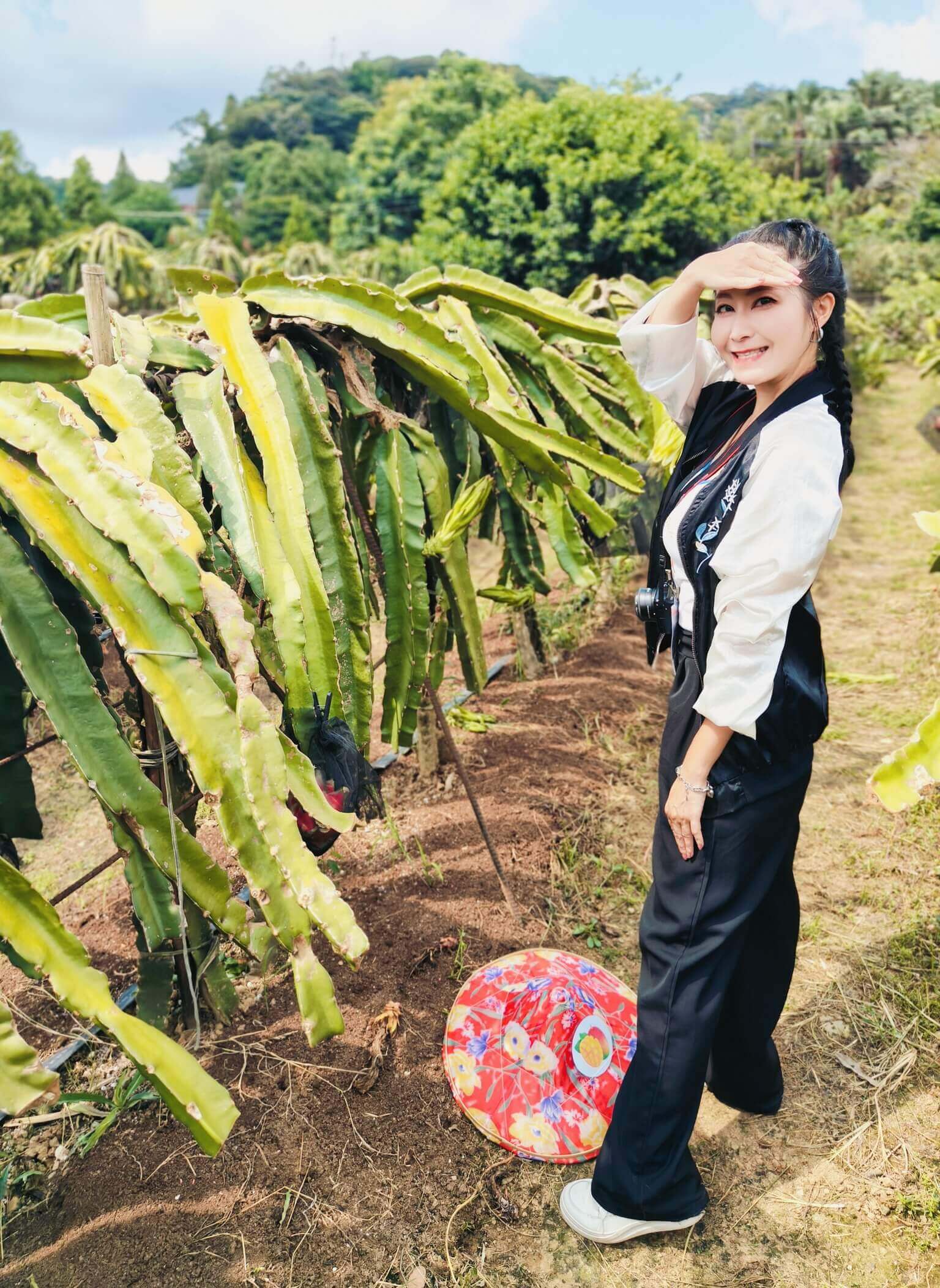 桃園景點｜龍潭三洽水一日遊、小雞互動、手作DIY、多肉植物園、採果秘境、親子景點、老字號客家料理！ @💕小美很愛嚐💕