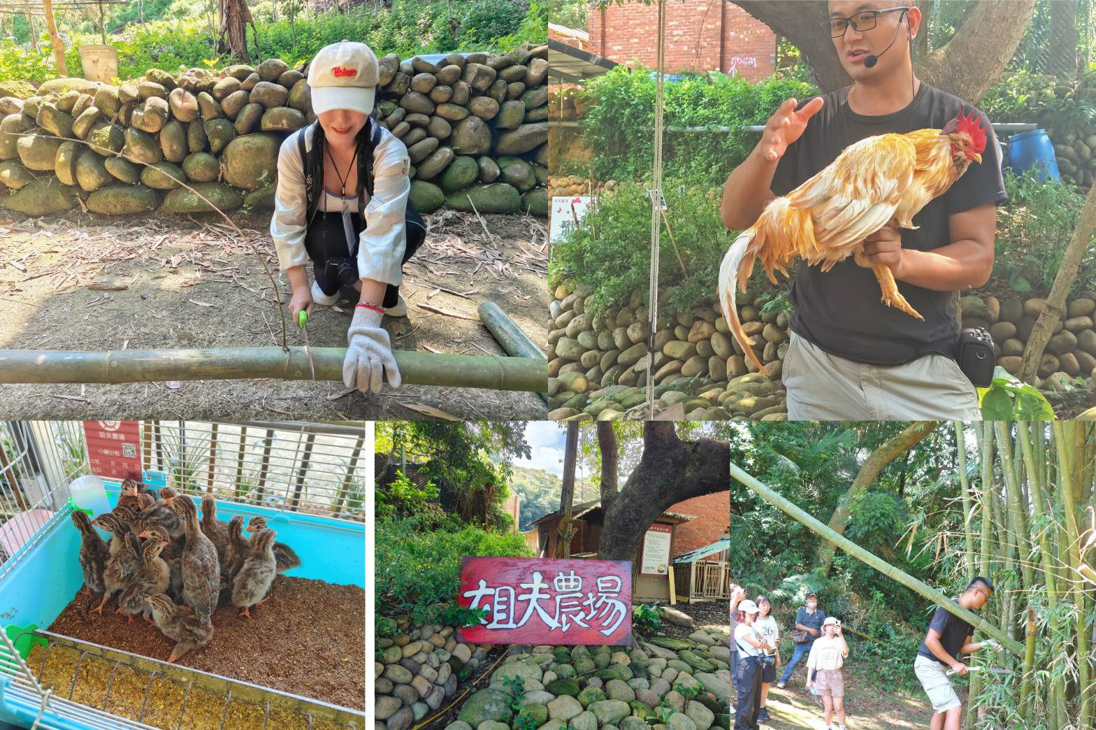 桃園景點｜龍潭三洽水一日遊、小雞互動、手作DIY、多肉植物園、採果秘境、親子景點、老字號客家料理！ @💕小美很愛嚐💕