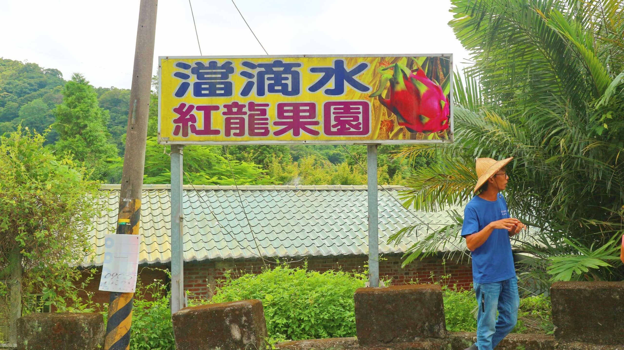 龍潭三洽水觀光｜澢滴水紅龍果園、桃園也有採果秘境！自產自銷當季水果蔬菜、有機農產品！ @💕小美很愛嚐💕