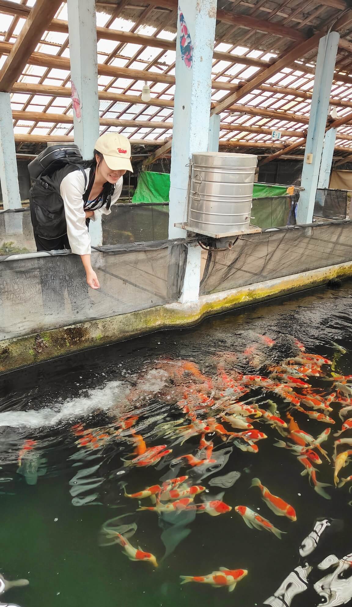 龍潭三洽水觀光｜巨無霸佳河錦鯉園、繞山花、三和青創基地、多肉植物園、手作DIY活動~喝個可愛到不行午茶 ！ @💕小美很愛嚐💕