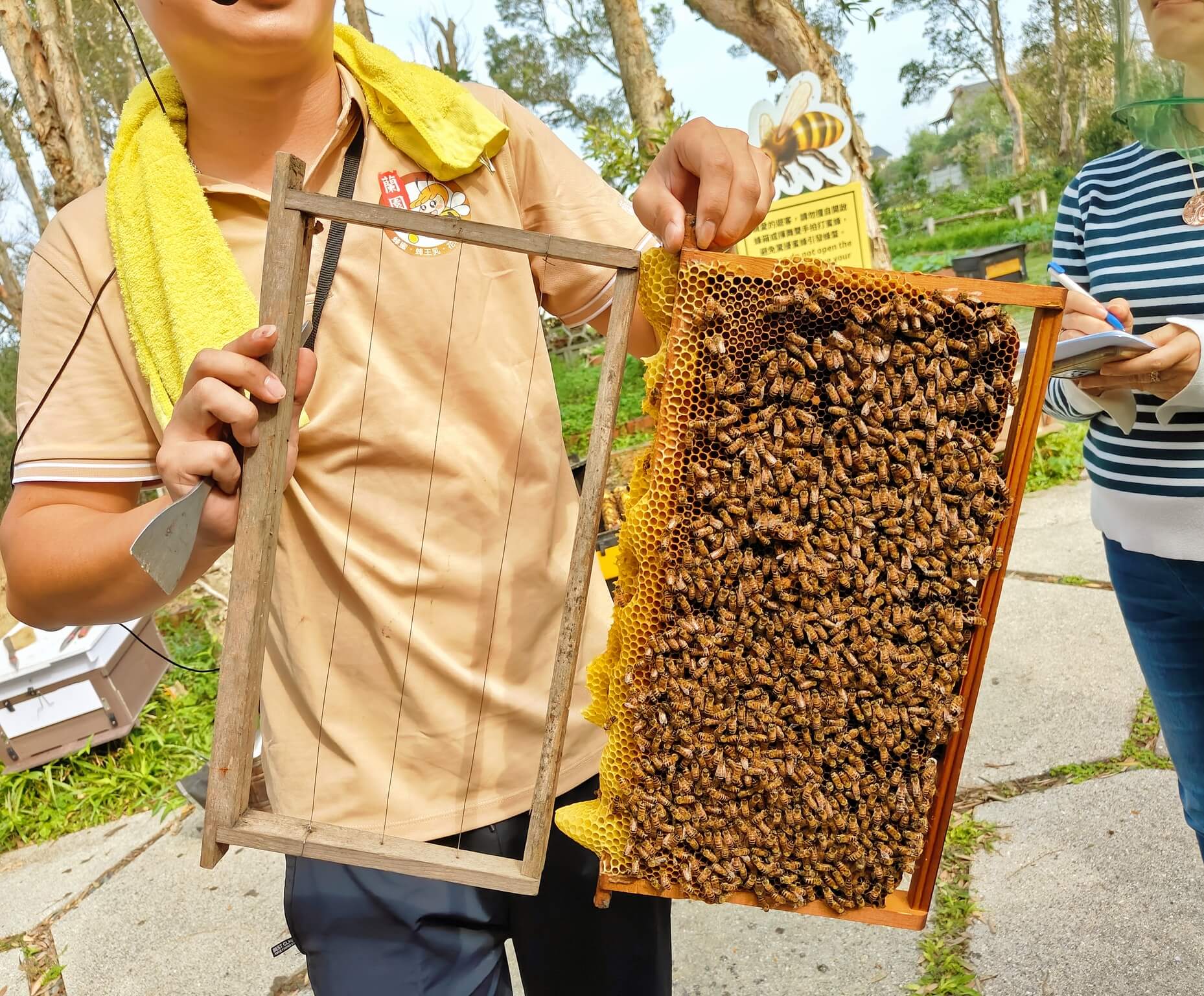 新屋秘境推薦、跟著在地人漫遊新屋趣～蘭園養蜂場、體驗蓋石滬挖海瓜子捕魚、漫步新屋綠色隧道！ @💕小美很愛嚐💕