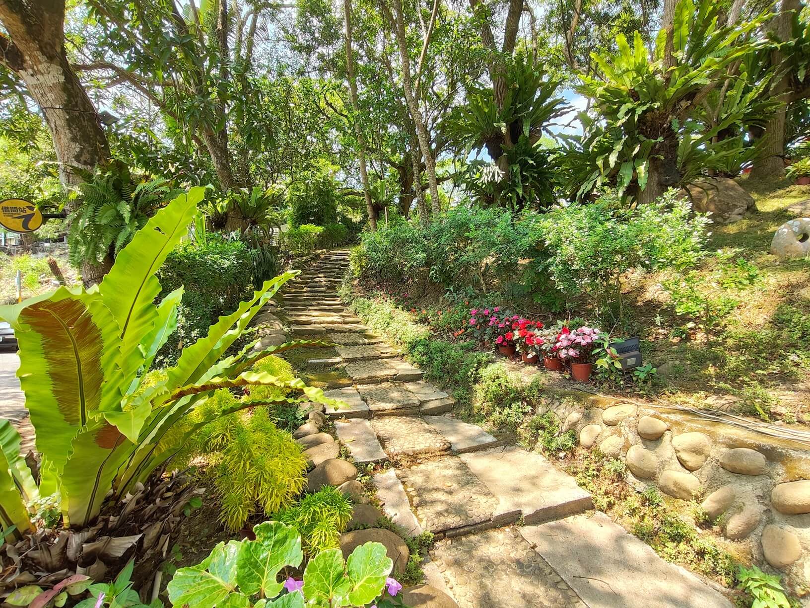 台南玉井景觀餐廳｜瑪莎園景觀餐廳/虎頭山庭園餐廳、綠意環繞、山林咖啡秘境必拍、寵物友善餐廳！ @💕小美很愛嚐💕