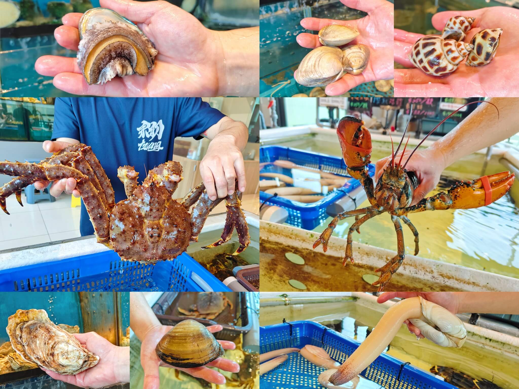 竹北美食｜宗初水產、上百種肉類海鮮任你挑選、還可以代客料理新鮮海鮮送上桌！ @💕小美很愛嚐💕