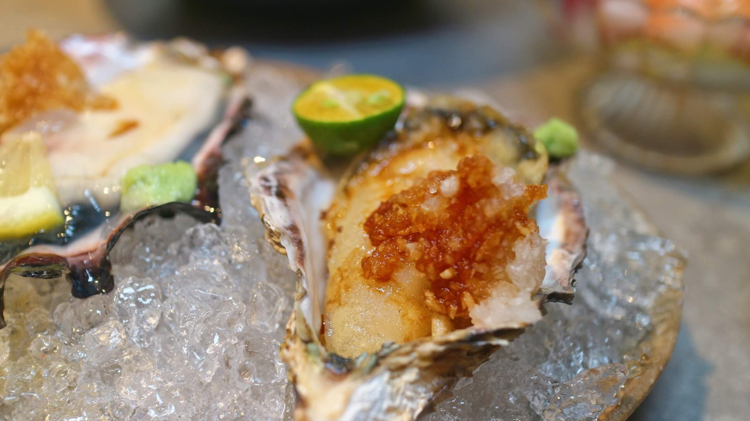 桃園美食｜宗初食堂  日式無菜單料理、高級感拉滿1380元活體龍蝦一飽美味！寵物友善餐廳！ @💕小美很愛嚐💕