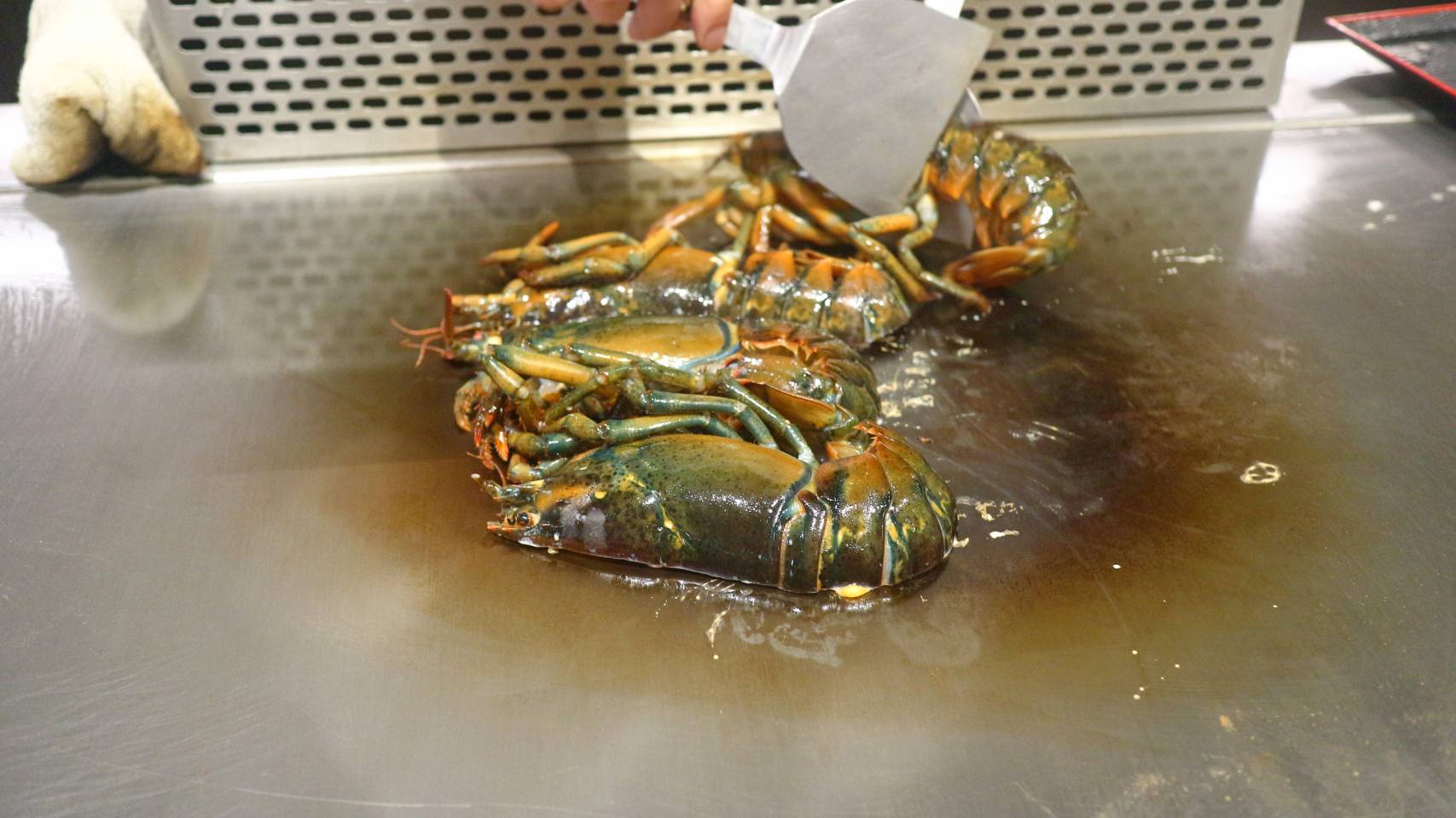 林口鐵板燒推薦｜滝 精緻鐵板料理、2,080元即可吃A5和牛、活體龍蝦、活鮑魚高CP值！ @💕小美很愛嚐💕