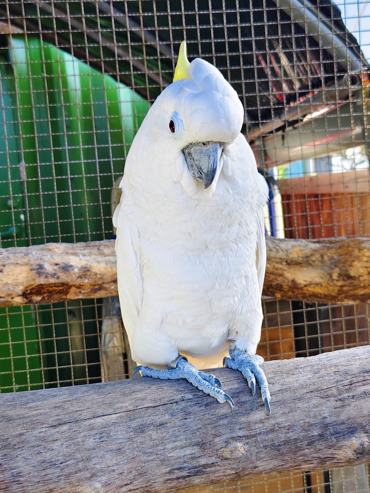 新北三芝海景咖啡廳｜秘境小峇里、如墾丁美景、湛藍大海盡收眼底！