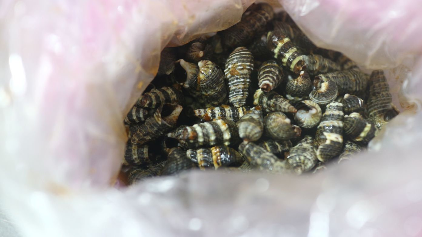 新北石門美食｜俞家肉粽、24小時營業、小肉粽15元起人氣必買！