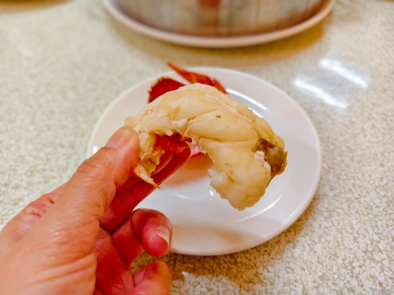 海鮮新鮮現蒸、爽嗑活體龍蝦、麵包蟹必吃、雜炊粥收尾超完美、朋月栻 二月牌沙茶爐 新莊店、新莊美食! - 第15張圖 海鮮新鮮現蒸、爽嗑活體龍蝦、麵包蟹必吃、雜炊粥收尾超完美、朋月栻 二月牌沙茶爐 新莊店、新莊美食!