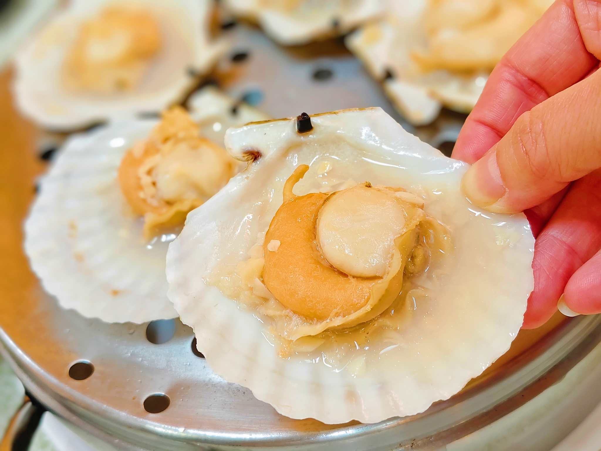 海鮮新鮮現蒸、爽嗑活體龍蝦、麵包蟹必吃、雜炊粥收尾超完美、朋月栻 二月牌沙茶爐 新莊店、新莊美食! - 第21張圖 海鮮新鮮現蒸、爽嗑活體龍蝦、麵包蟹必吃、雜炊粥收尾超完美、朋月栻 二月牌沙茶爐 新莊店、新莊美食!