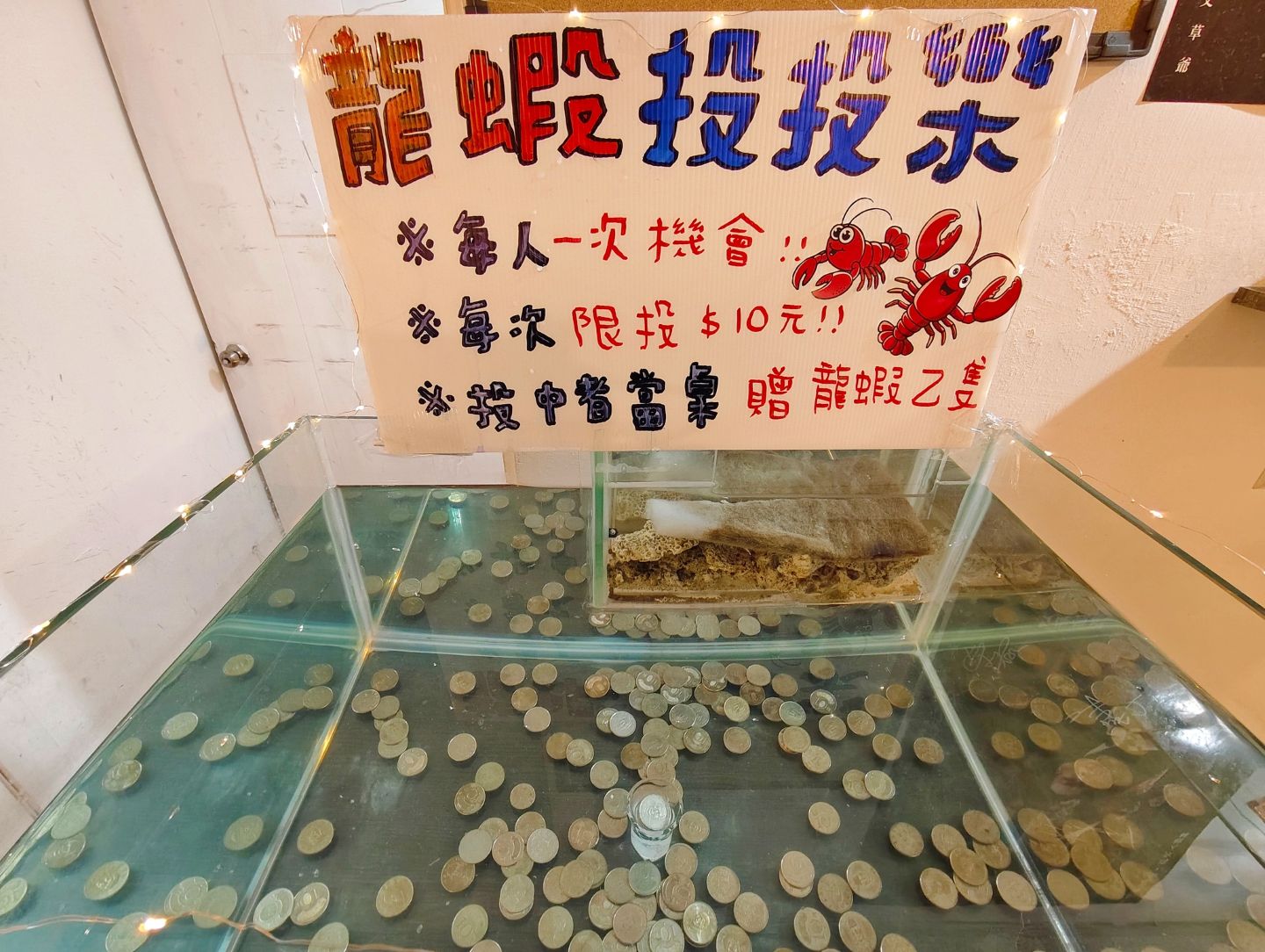 海鮮新鮮現蒸、爽嗑活體龍蝦、麵包蟹必吃、雜炊粥收尾超完美、朋月栻 二月牌沙茶爐 新莊店、新莊美食! - 第8張圖 海鮮新鮮現蒸、爽嗑活體龍蝦、麵包蟹必吃、雜炊粥收尾超完美、朋月栻 二月牌沙茶爐 新莊店、新莊美食!