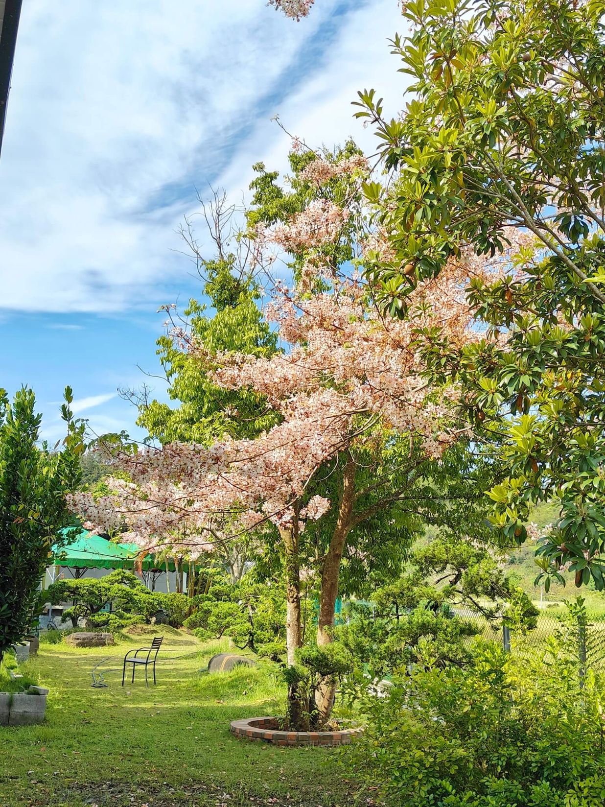 台南龜丹溫泉住宿|天喜悅溫泉會館、親子住宿、按摩溫泉房型、山林大眾溫泉池! - 第25張圖 台南龜丹溫泉住宿|天喜悅溫泉會館、親子住宿、按摩溫泉房型、山林大眾溫泉池!