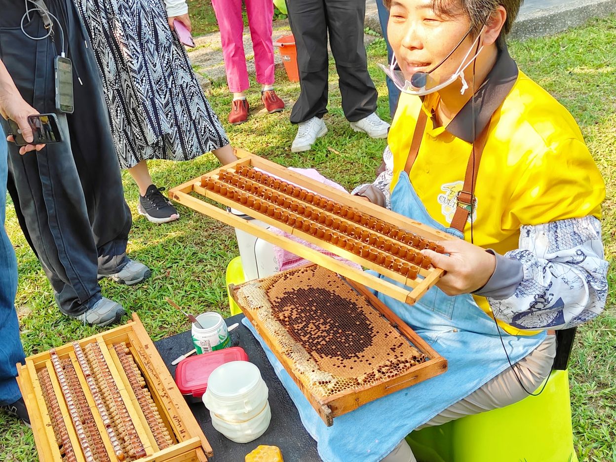 台南景點推薦|全台第一家以蜂蜜為主題 蜂蜜觀光工廠、(免費)親子旅遊、東和蜂文化觀光工廠! - 第13張圖 台南景點推薦|全台第一家以蜂蜜為主題 蜂蜜觀光工廠、(免費)親子旅遊、東和蜂文化觀光工廠!