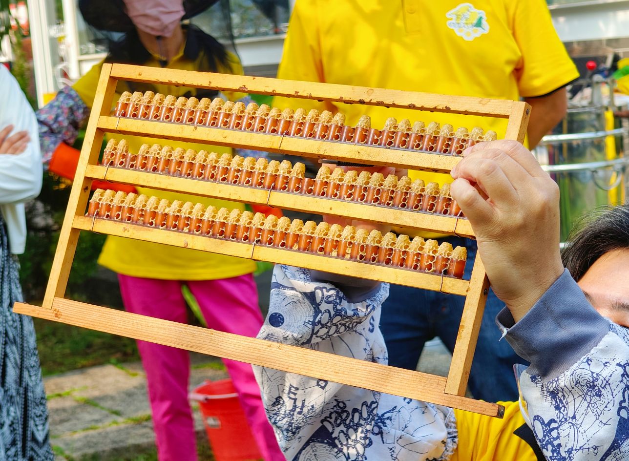 台南景點推薦|全台第一家以蜂蜜為主題 蜂蜜觀光工廠、(免費)親子旅遊、東和蜂文化觀光工廠! - 第14張圖 台南景點推薦|全台第一家以蜂蜜為主題 蜂蜜觀光工廠、(免費)親子旅遊、東和蜂文化觀光工廠!