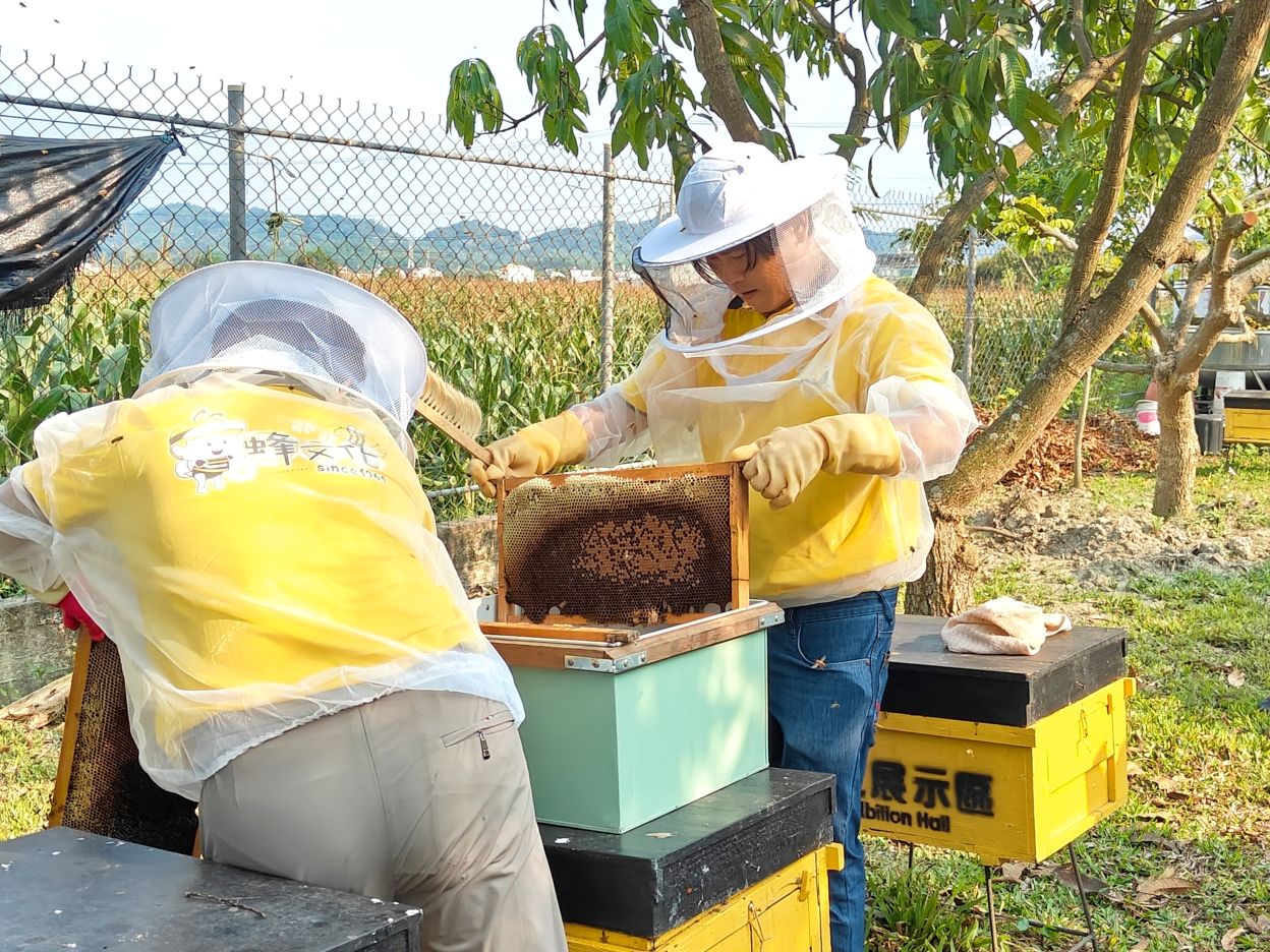 台南景點推薦|全台第一家以蜂蜜為主題 蜂蜜觀光工廠、(免費)親子旅遊、東和蜂文化觀光工廠! - 第11張圖 台南景點推薦|全台第一家以蜂蜜為主題 蜂蜜觀光工廠、(免費)親子旅遊、東和蜂文化觀光工廠!