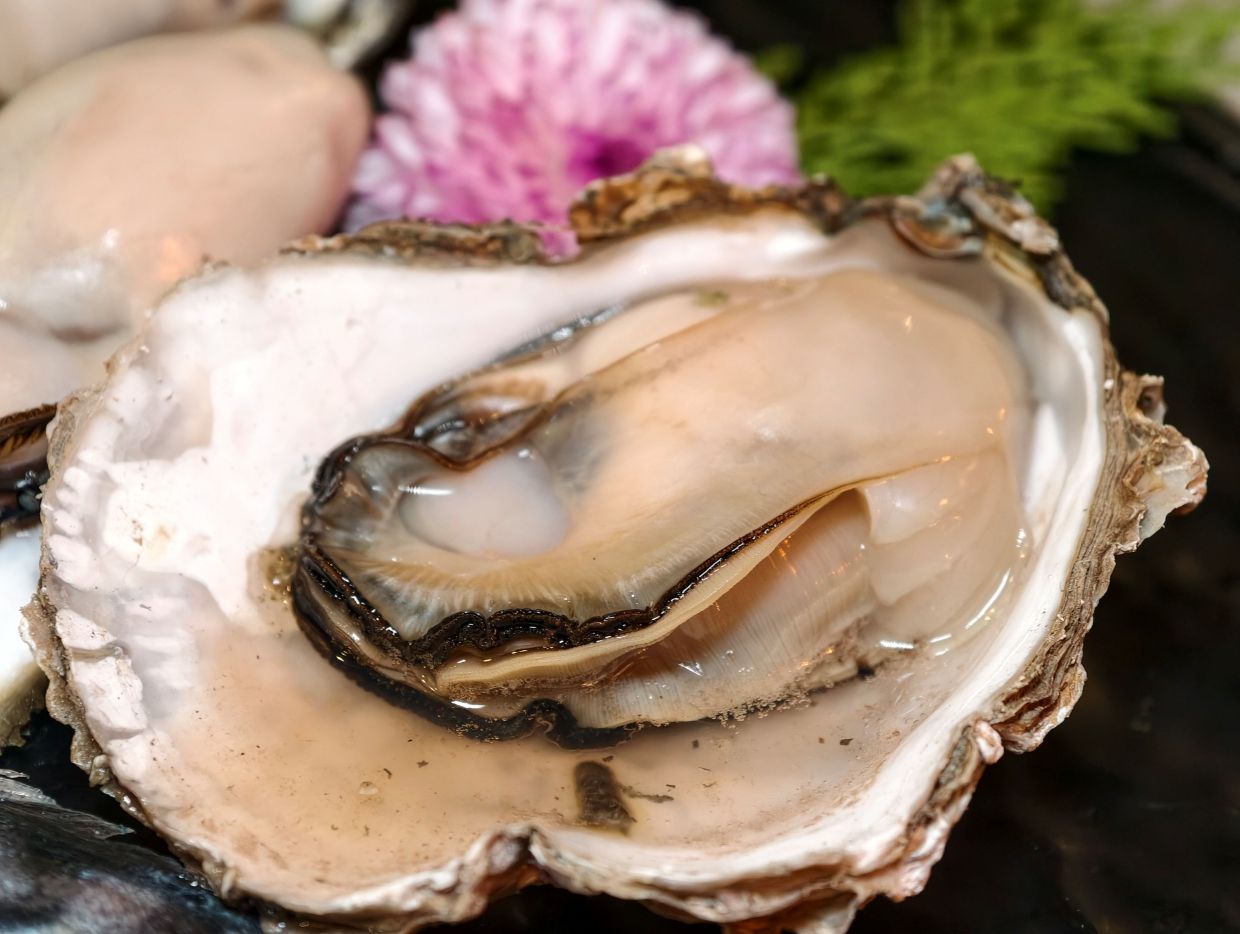 台北東區吃到飽推薦、日本A5和牛、生蠔、生食級干貝通通吃到飽!火之舞蓁品燒 台北店! - 第40張圖 台北東區吃到飽推薦、日本A5和牛、生蠔、生食級干貝通通吃到飽!火之舞蓁品燒 台北店!