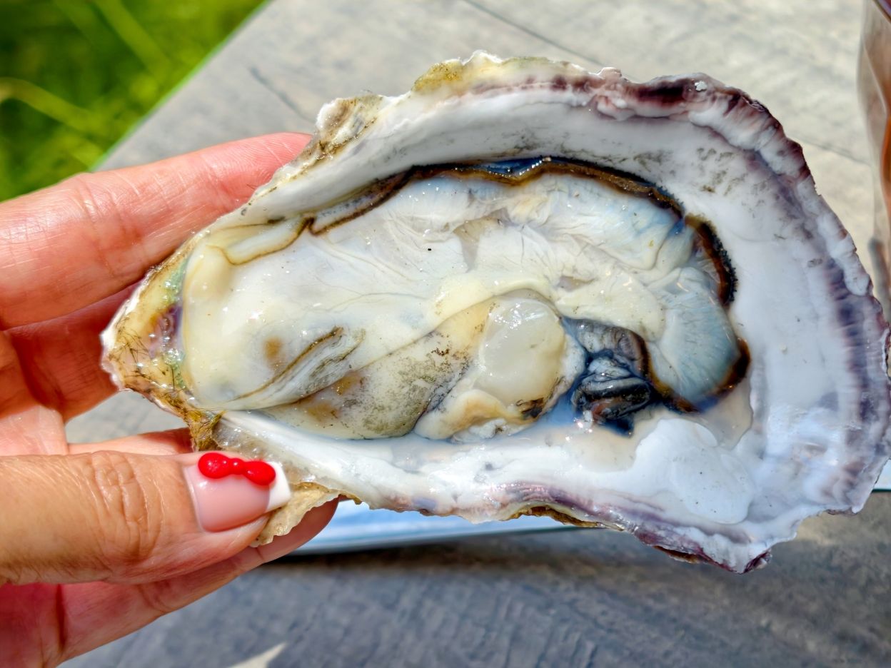 宜蘭火鍋｜必點海陸雙人套餐、超狂豆花辣拌麵、麻辣味噌豆花湯、老婆吃鍋！