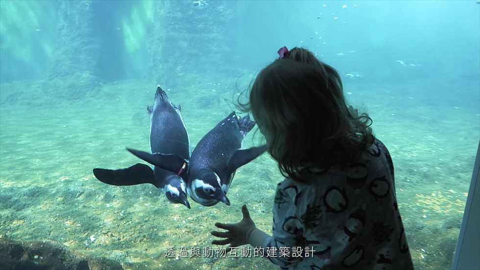 【桃園、青埔】購票、價格一次分享、日本八景島海樂園首次海外插旗「Xpark」水族館 @💕小美很愛嚐💕